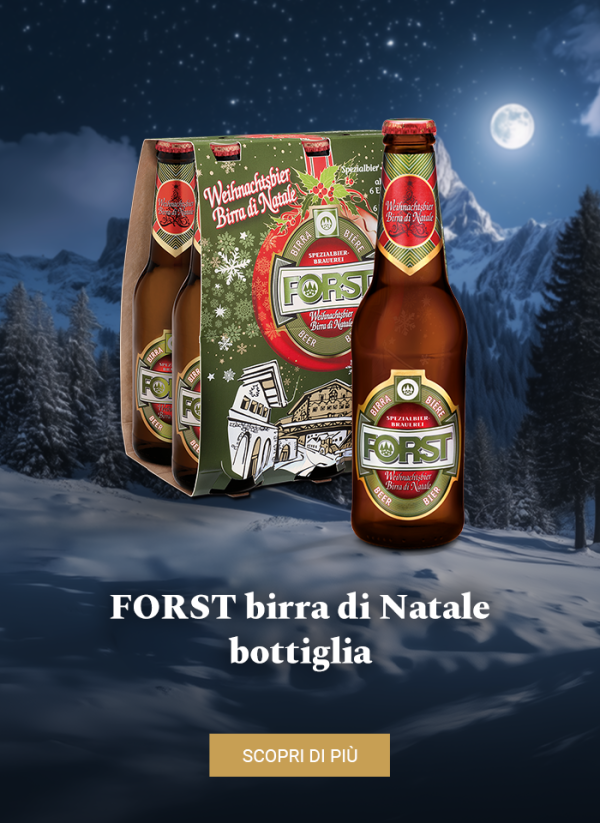 FORST birra di Natale bottiglia 33cl