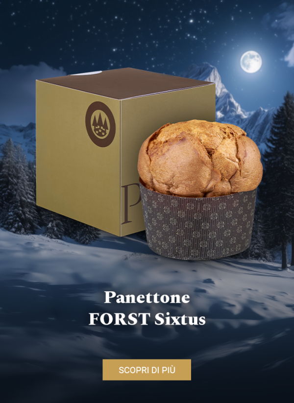 Panettone alla birra SIXTUS