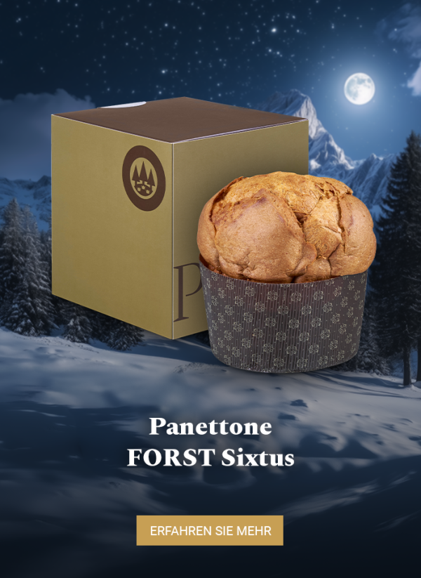 Bier-Panettone SIXTUS
