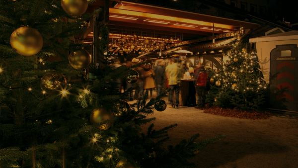 FORSTER WEIHNACHTSWALD 2025/2026